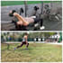 design personalized fitness programs for women