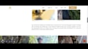 perform web development web design on wordpress php