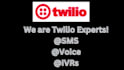 build twilio sms, ivr solutions