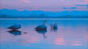 create HD relaxing and meditation youtube video