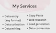 fastest data entry, excel data entry and data cleansing