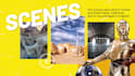 create attractive slide show video and promo video