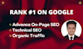 do wordpress onpage seo optimization for your website