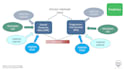 transform complex health topics into reader friendly visuals and narratives
