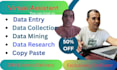 do web research, data conversion, copy paste