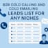 build b2b cold calling and cold emailing leads list