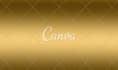 provide professional business card services for you