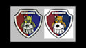 do 3d puff, flat embroidery logo digitizing  within 3 hours