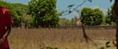 edit your video and color grade