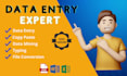 be your personal administrative virtual assistant, data entry expert