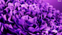 create professional 3d product animation,vfx animetion for you