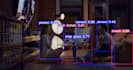 do computer vision expert deep learning, image analysis, object detection