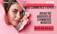 build ecommerce, woocommerce customization, and online store