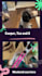 create ugc content for pet products with my 2 dogs