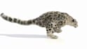 create realistic cgi 3d dragon animation, 3d animal animation vfx, 3d modelrend