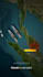 create stunning map animation video editing