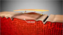 develop high quality medical 3d animations