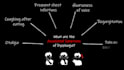 create engaging powerpoint medical lecture presentation