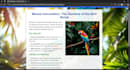 create informative website design