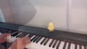 create a chillaxed backing track for you