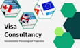 provide visa consultancy processing for UK, canada, europe