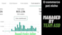 manage tik tok shop ,shopify marketing,dropshipping marketing,shopify sales