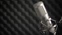 narrate your audiobook in a british voiceover