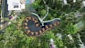 do 3d renderings for landscape design, pool, garden, patio, backyard and terrace