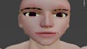 create a 3d character model and rig it for animation