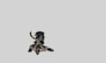 draw pixel character, pixel game art pixel art animation 2d sprite sheet tileset