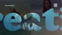 edit after effects template, or customize animate it