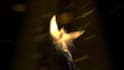 make Phoenix to BURNOUT and reveal your logo in full hd
