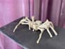 create a unique sculpture made of real bones