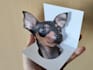 convert 2d image to 3d optical illusion card