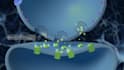 make easy to understand 3d medical animation