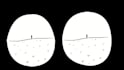 do frame by frame line art animation