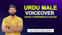 record professional urdu voice over in 24 hours