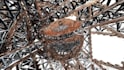 create unique 3d art with environment