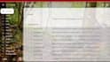 clean out and organize your entire email inbox efficiently