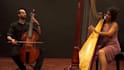record viola da gamba for you