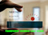 design transparent business card within 12 hours