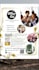 design a catchy and premium quality flyer