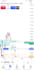 teach you ict concepts on live charts