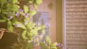 professionally do the archviz of your projects