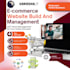 develop a professional ecommerce website