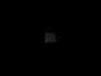 reveal YOUR name in this killer video intro