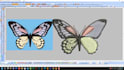 convert image and vector file to dst file