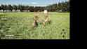 make rpg, survivor, open world unreal engine games