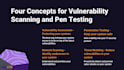 perform expert pen testing and vulnerability scans