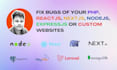 fix bugs of your php, react, nodejs, express website